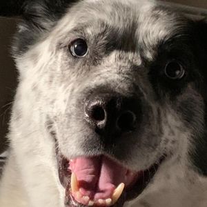 Meet your Posher, Kelli